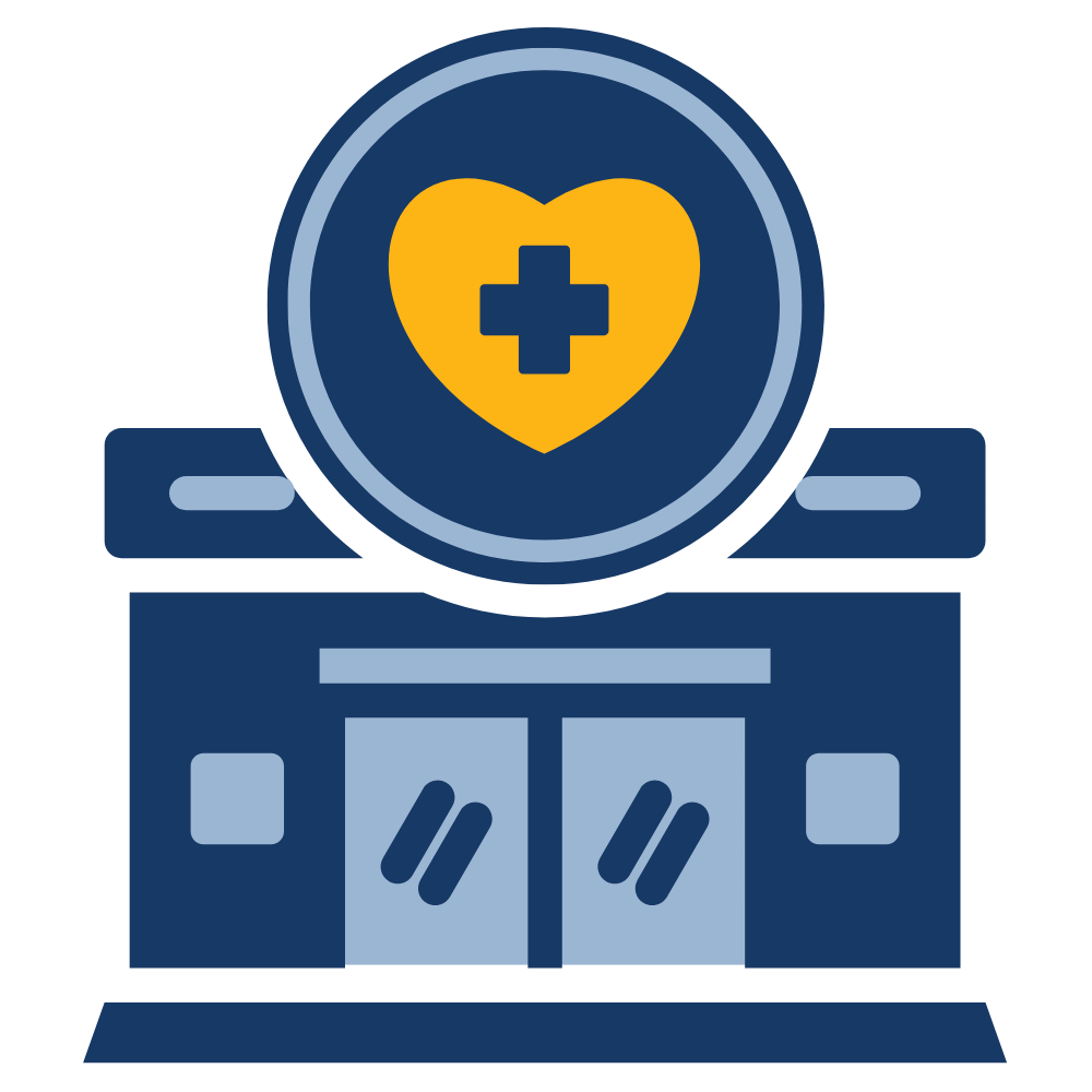Healthcare Icon